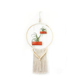 Air Plant Wall Hanging